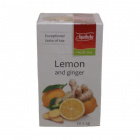 Apotheke gyömbéres citrom filteres tea 20x2g 