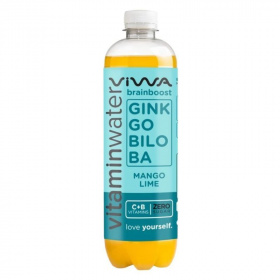 Viwa vitaminvíz - brainboost, zero 600ml