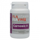 Flavitamin Carnosic A kapszula 60db 
