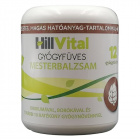 HillVital gyógyfüves mesterbalzsam 250ml 