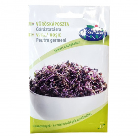 Réde vöröskáposztamag csíráztatásra 15g