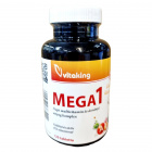 Vitaking Mega-1 Family tabletta 120db 