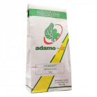 Adamo citromfű tea 50g 