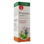 Interherb Prosztata cseppek 50ml 