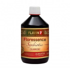 Flavin7 Floressence Synbiotic ital 500ml 