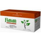 Naturlife Flavan gyümölcstea filteres 20db 