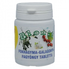 Bionit fokhagyma-fagyöngy-galagonya tabletta 90db 